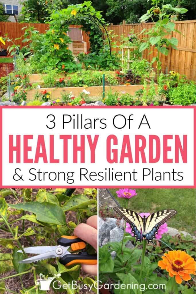 Collage showing a lush vegetable garden, a hand pruning a plant, and a butterfly on a flower, with the text "3 Pillars of a Healthy Garden & Strong Resilient Plants."