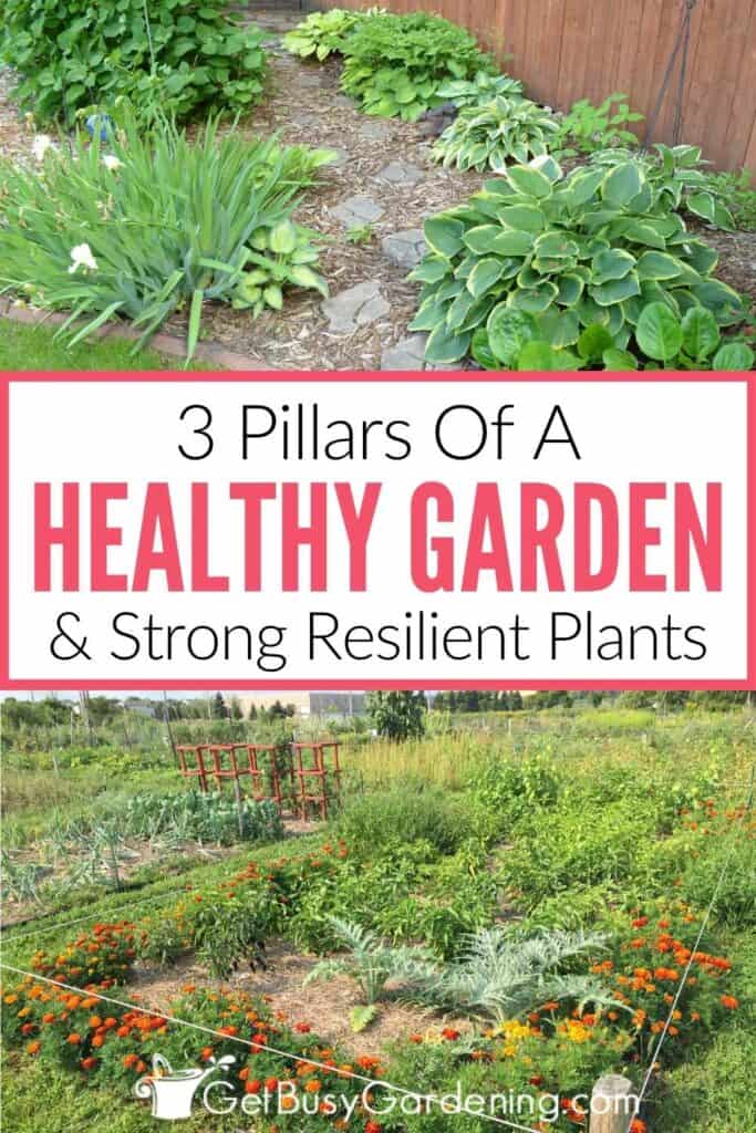 Collage showing a lush shade garden and a large productive vegetable garden, with the text "3 Pillars of a Healthy Garden & Strong Resilient Plants."
