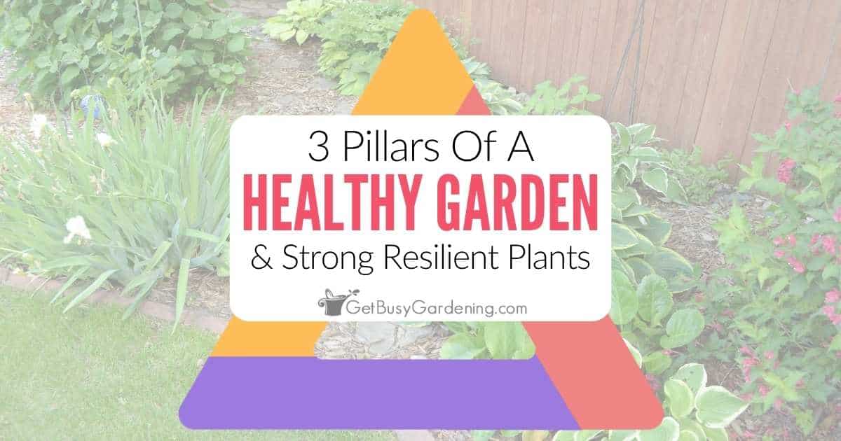 The 3 Pillars of a Healthy Garden