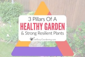 The 3 Pillars of a Healthy Garden