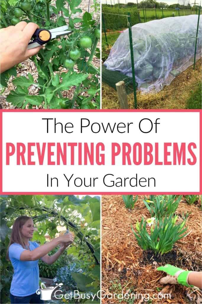Four-photo collage image showing pruning tomato plants, row covers protecting a vegetable garden, Amy caring for plants, and mulching around flowers, with the text "The Power Of Preventing Problems In Your Garden."