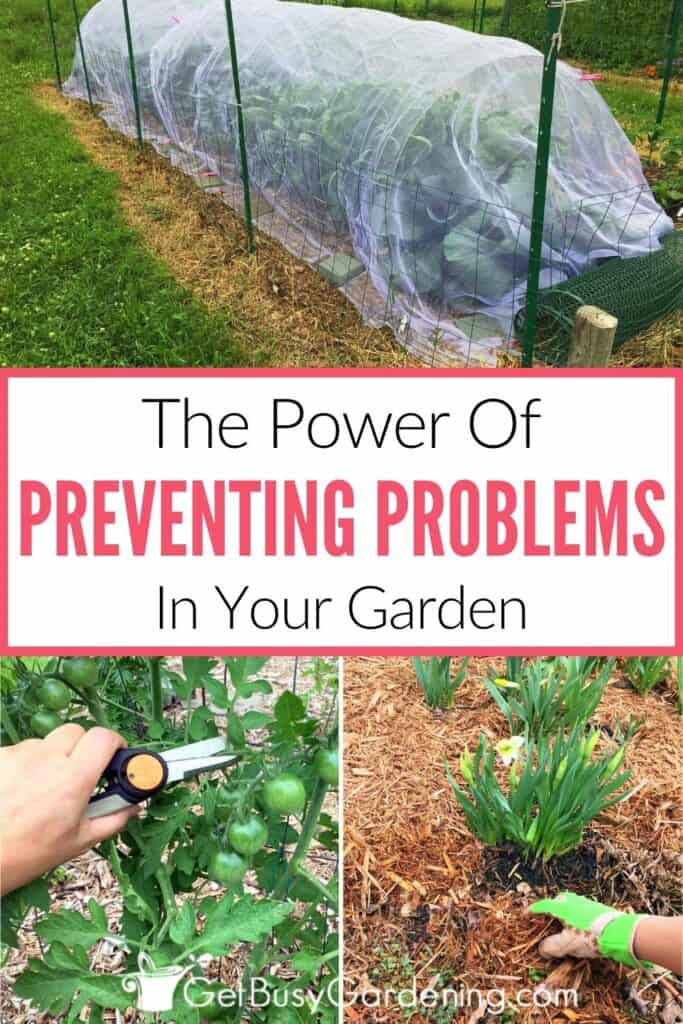 Three-photo collage image showing row covers protecting a vegetable garden above the text "The Power Of Preventing Problems In Your Garden," with pruning tomato plants and mulching around flowers below.