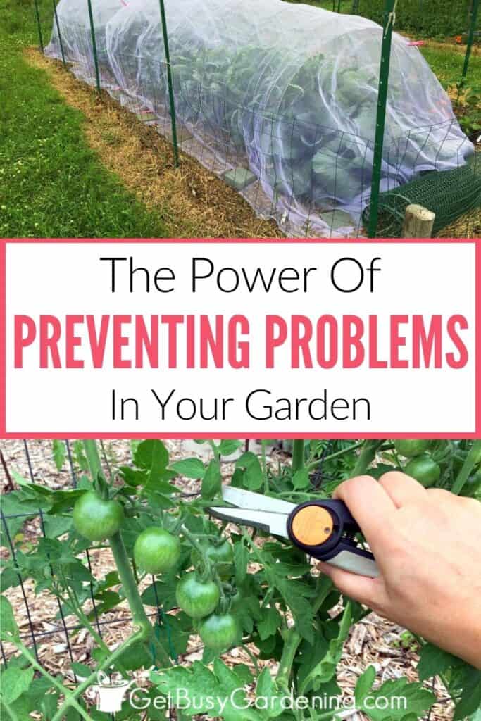 Two-photo collage image showing row covers protecting a vegetable garden above the text "The Power Of Preventing Problems In Your Garden," with pruning tomato plants below.