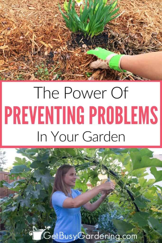 Two-photo collage image showing mulching around flowers above the text "The Power Of Preventing Problems In Your Garden," with Amy caring for plants in her vegetable garden below.